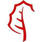 Logo Quiz Ultimate answers and cheats level 3