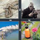 4 Pics 1 Word answers and cheats level 627
