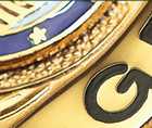 Zoomed In answers and cheats level 231-240