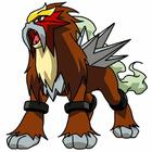 Poke Icon answers and cheats level 1-10