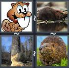 4 Pics 1 Word answers and cheats level 2327