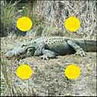 100 Pics answers and cheats level 1-50