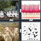 4 Pics 1 Word answers and cheats level 1571
