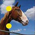 100 Pics answers and cheats level 1-50