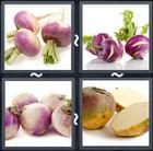4 Pics 1 Word answers and cheats level 1782