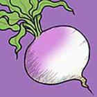 100 Pics answers and cheats level 1-50