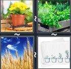4 Pics 1 Word answers and cheats level 2426