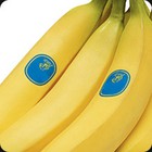 Munchiemania answers and cheats level 31-5