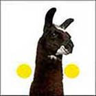 100 Pics answers and cheats level 51-100