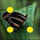 100 Pics answers and cheats level 1-50