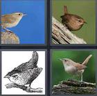 4 Pics 1 Word answers and cheats level 3574