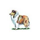 100 Pics answers and cheats level 1-50