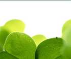 Zoomed In answers and cheats level 151-160