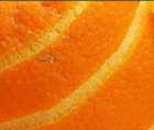 Zoomed In answers and cheats level 261-270