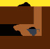 Quiz Mountain answers Science pack level 2