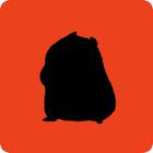 Shadow Quiz answers and cheats level 445