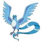 Poke Icon answers and cheats level 1-10
