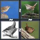4 Pics 1 Word answers and cheats level 1646