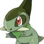 iGuess for Pokemon answers and cheats level 97