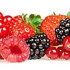 100 Pics answers and cheats level 1-50