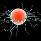 100 Pics answers and cheats level 51-100