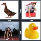 4 Pics 1 Word answers and cheats level 2577