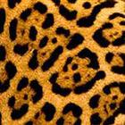 100 Pics answers and cheats level 1-50