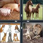 4 Pics 1 Word answers and cheats level 1080