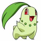 Poke Icon answers and cheats level 71-80