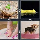 4 Pics 1 Word answers and cheats level 2959