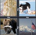 4 Pics 1 Word answers and cheats level 2376