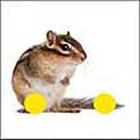 100 Pics answers and cheats level 1-50