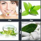 4 Pics 1 Word answers and cheats level 2735