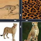 4 Pics 1 Word answers and cheats level 1360