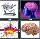 4 Pics 1 Word answers and cheats level 2538