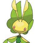 iGuess for Pokemon answers and cheats level 137