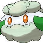 iGuess for Pokemon answers and cheats level 16