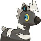iGuess for Pokemon answers and cheats level 49