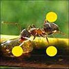 100 Pics answers and cheats level 1-50