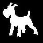 100 Pics answers and cheats level 51-100