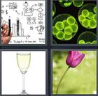 4 Pics 1 Word answers and cheats level 3450