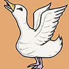 100 Pics answers and cheats level 1-50