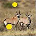 100 Pics answers and cheats level 51-100
