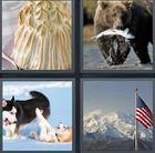 4 Pics 1 Word answers and cheats level 3513