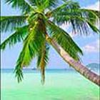 100 Pics answers and cheats level 1-50