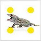 100 Pics answers and cheats level 51-100