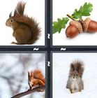 4 Pics 1 Word answers and cheats level 1369