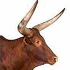 100 Pics answers and cheats level 1-50