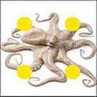 100 Pics answers and cheats level 51-100