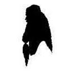 100 Pics answers and cheats level 1-50